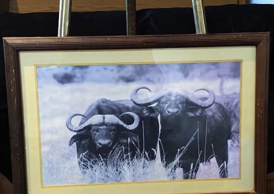 Sable Antelope Print