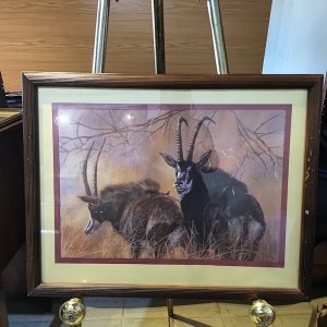 Buffalo print
