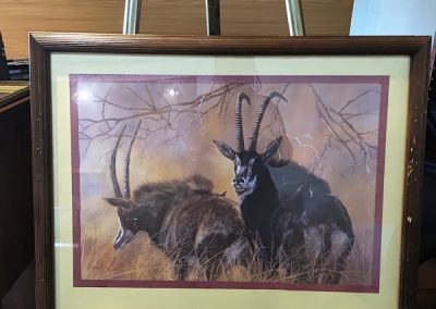 Buffalo print