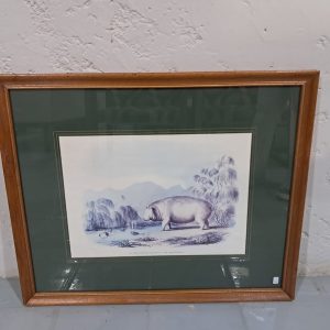 Hippo Print