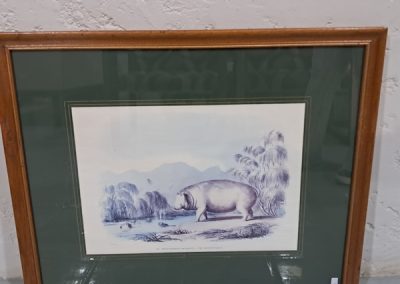 Hippo Print