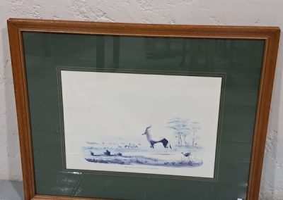 Gazella Print